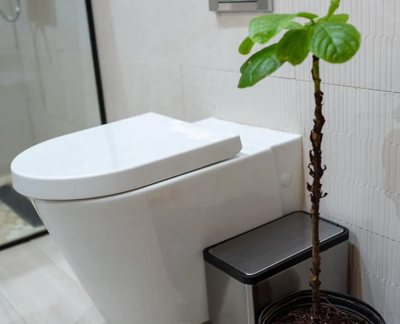 Guest house Ods Oasis Hotel Bel Retiro